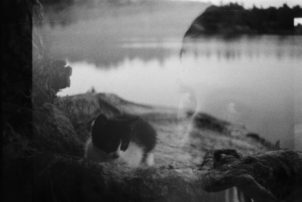 - Image 4 of 8