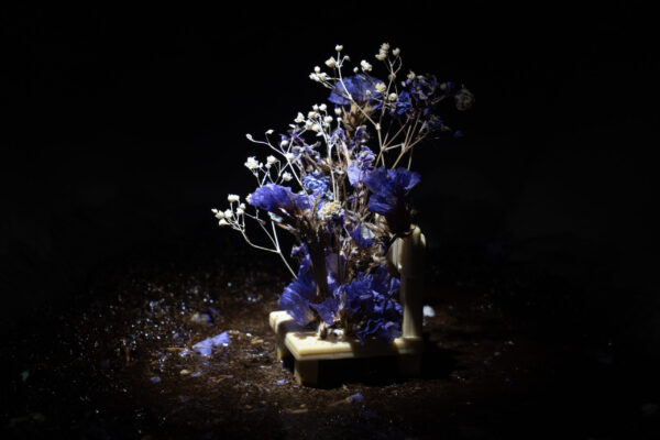  - Image 1 of 8