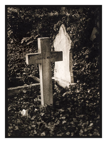  - Image 4 of 7