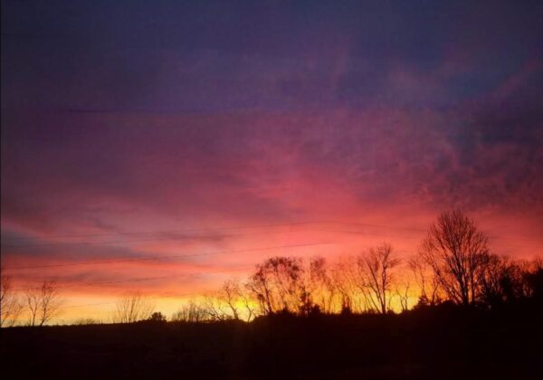  - Image 7 of 7