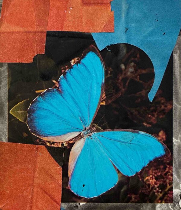  - Image 2 of 8