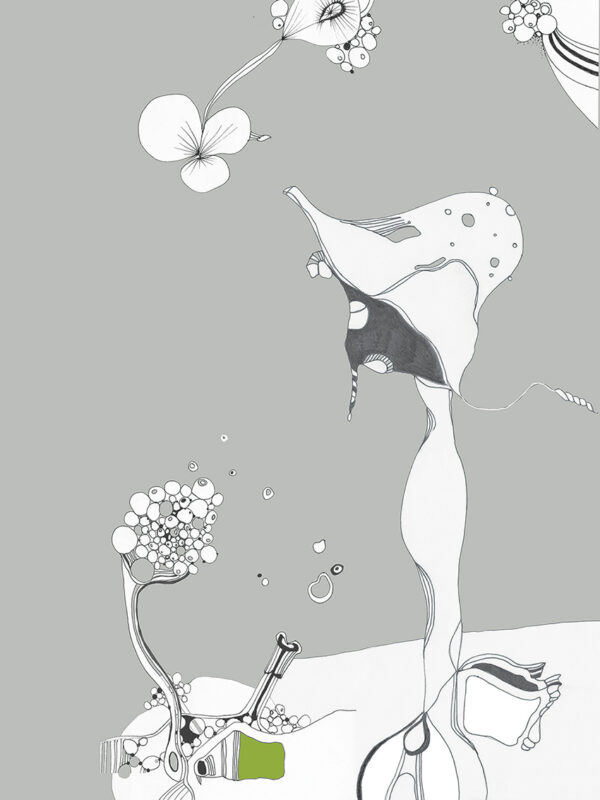  - Image 2 of 8