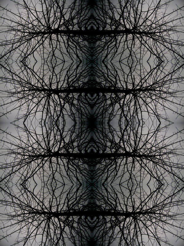  - Image 4 of 6