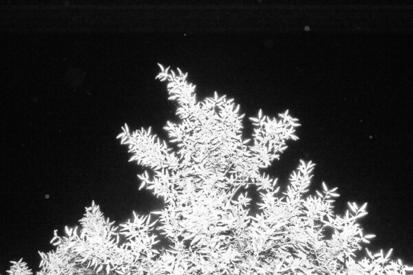  - Image 1 of 8