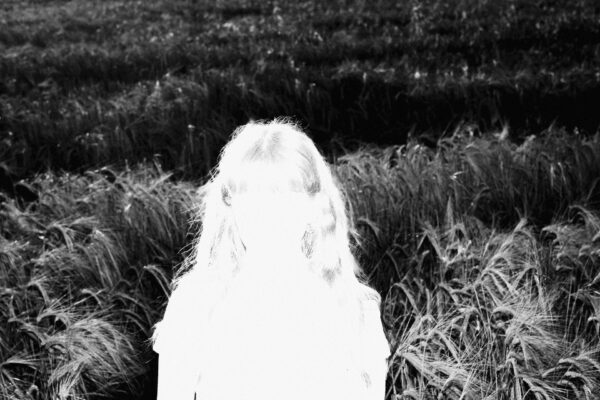  - Image 8 of 8