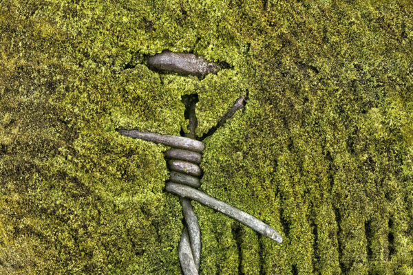  - Image 5 of 8