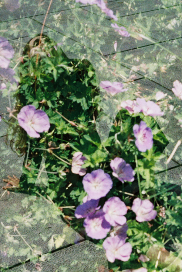  - Image 5 of 6