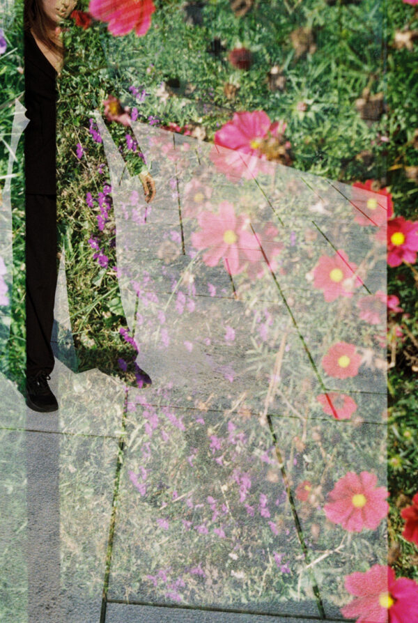  - Image 6 of 6