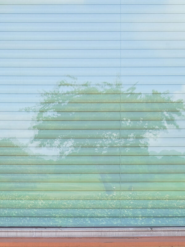  - Image 1 of 8