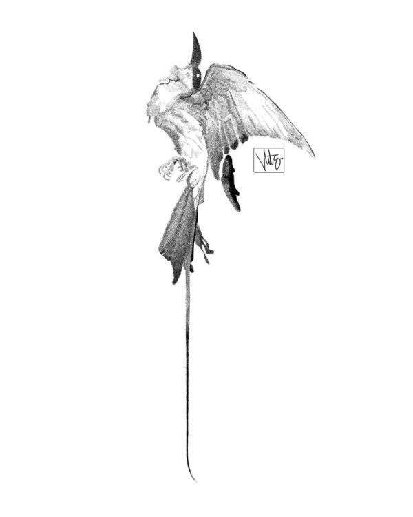  - Image 1 of 1