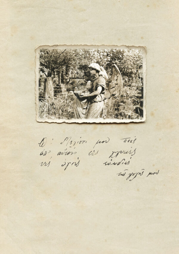  - Image 2 of 8