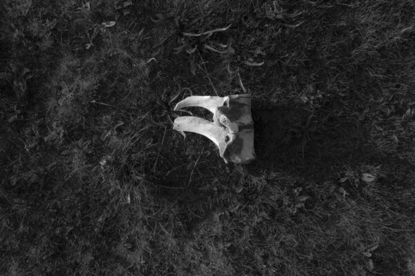  - Image 4 of 8