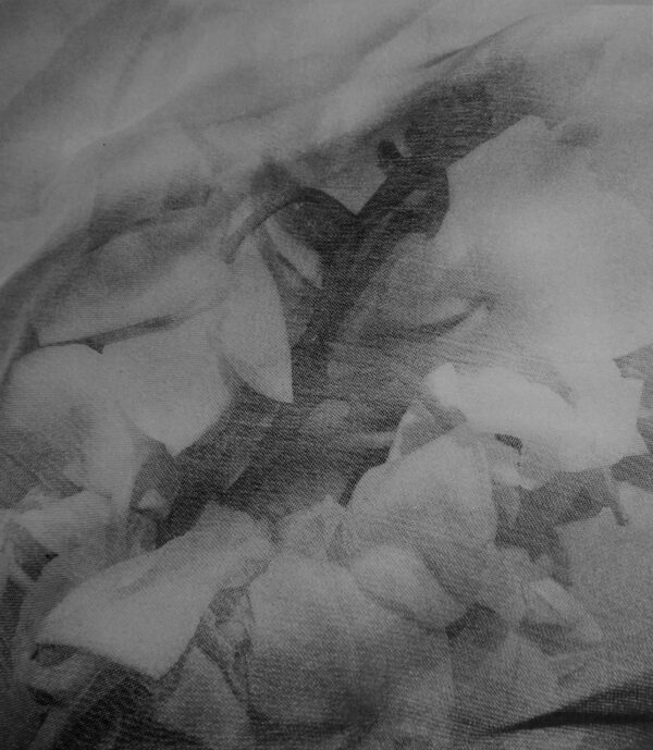  - Image 2 of 6