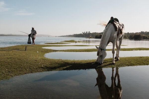  - Image 1 of 4