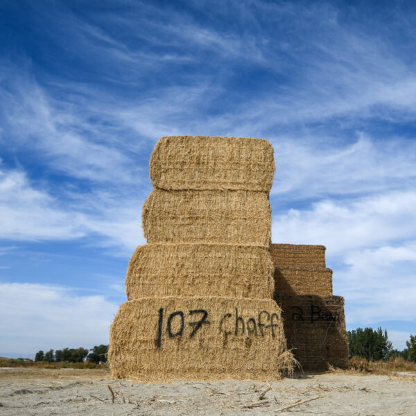  - Image 7 of 8