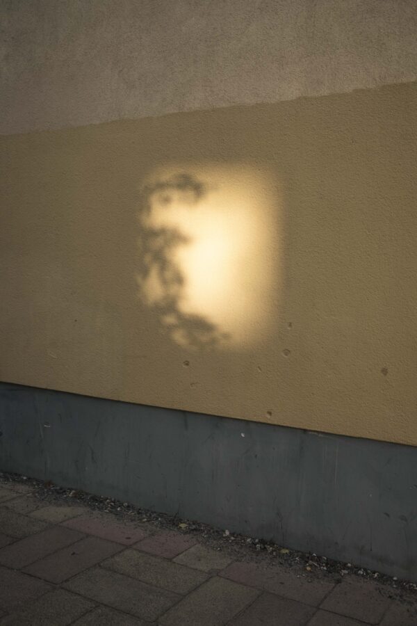  - Image 5 of 8