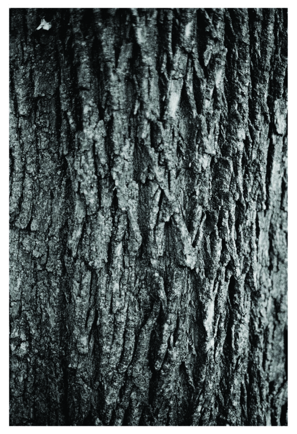  - Image 3 of 6