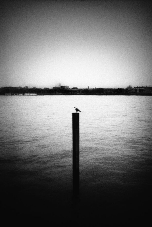  - Image 4 of 8