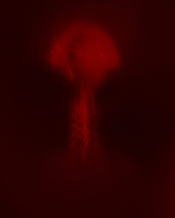  - Image 2 of 6
