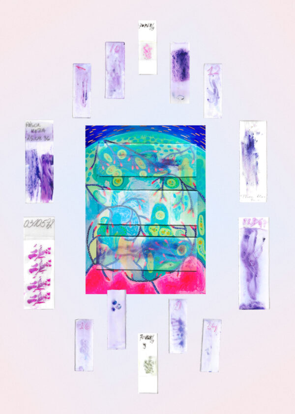  - Image 1 of 1