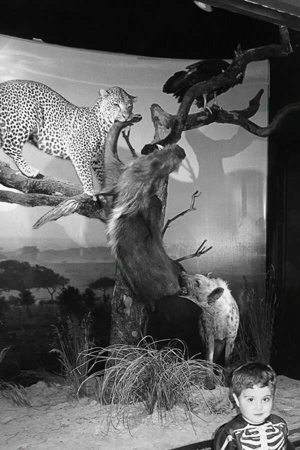  - Image 2 of 7