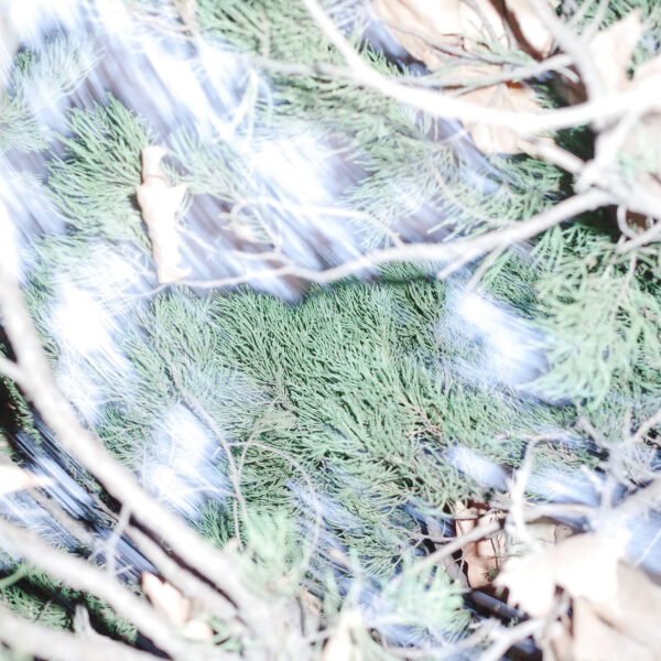  - Image 4 of 4
