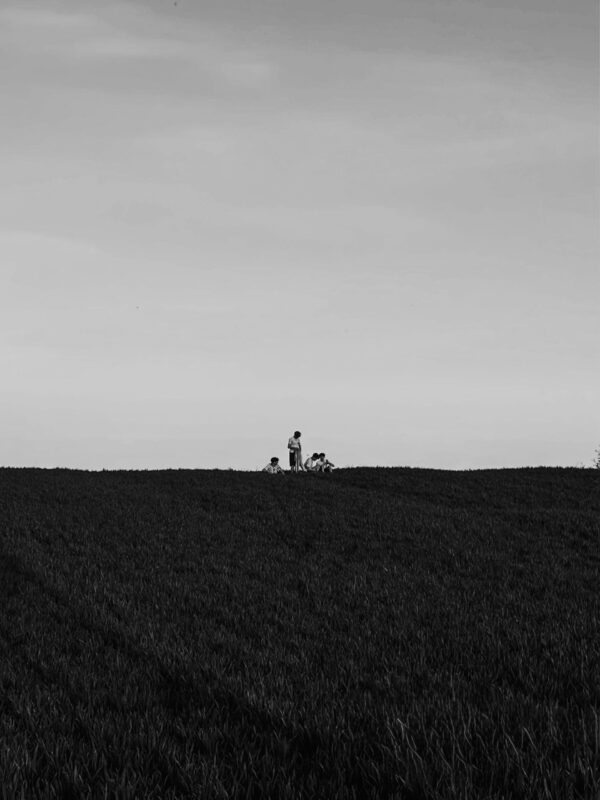  - Image 8 of 8