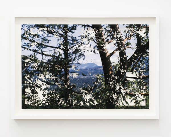  - Image 5 of 7
