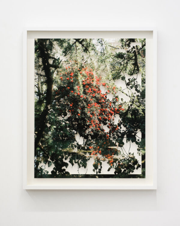  - Image 2 of 7