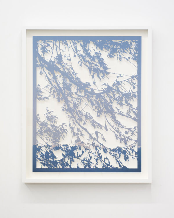  - Image 4 of 7