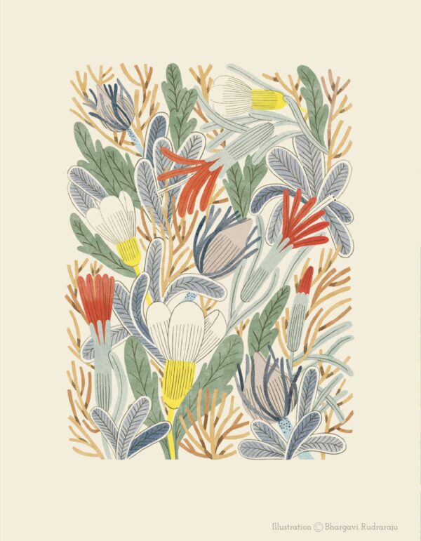  - Image 1 of 2