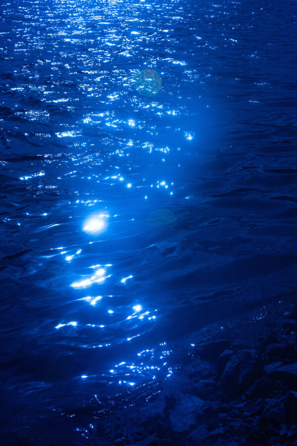  - Image 2 of 8