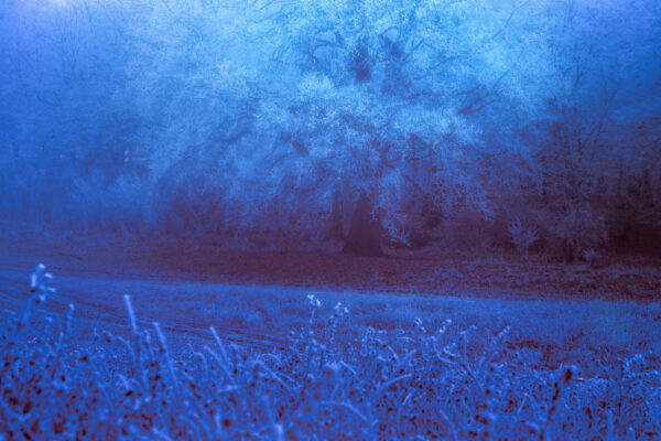  - Image 5 of 8