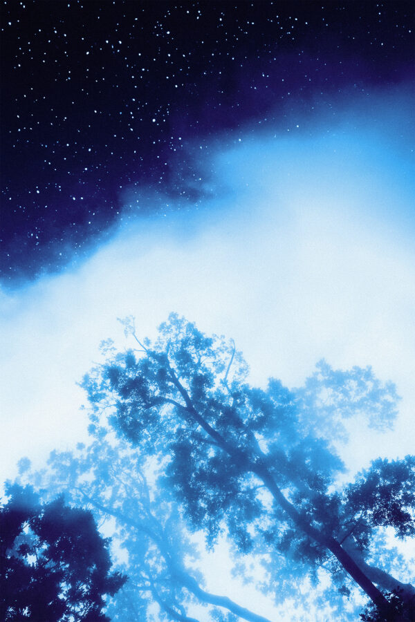  - Image 6 of 8