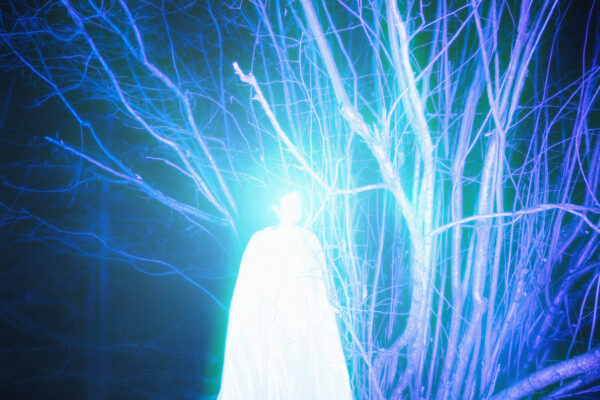  - Image 7 of 8