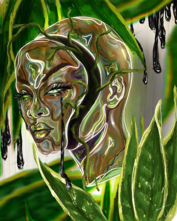  - Image 4 of 5