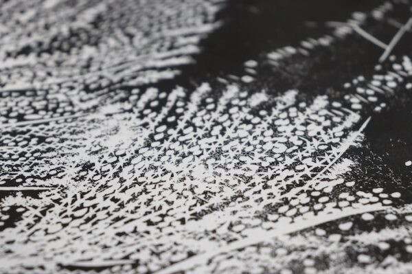  - Image 6 of 8