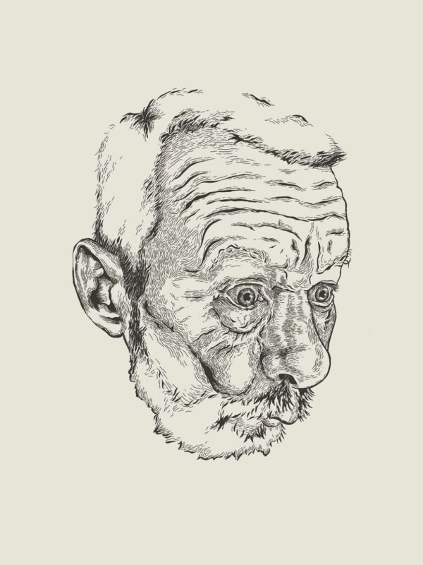  - Image 7 of 7