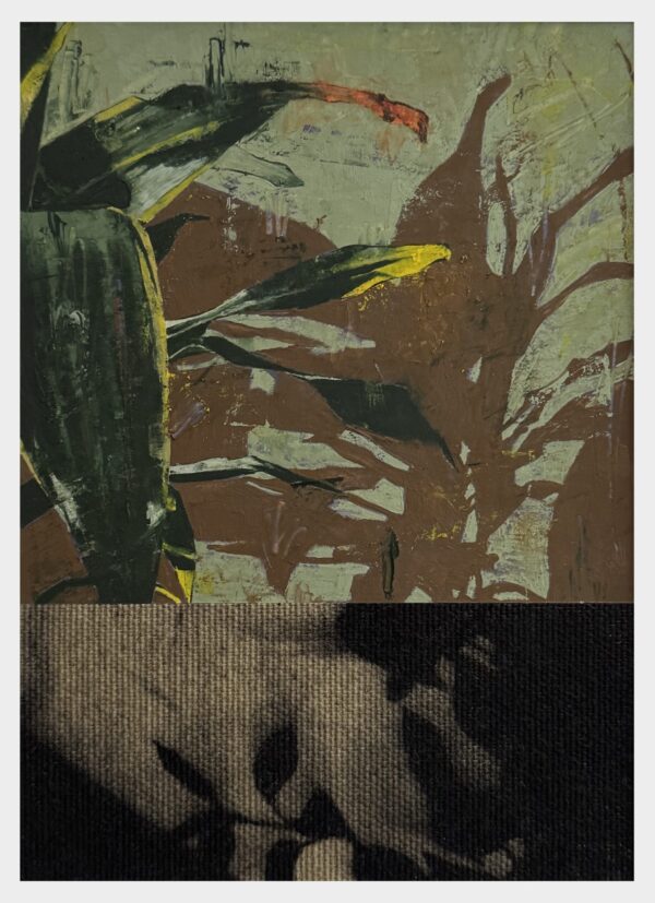  - Image 7 of 8