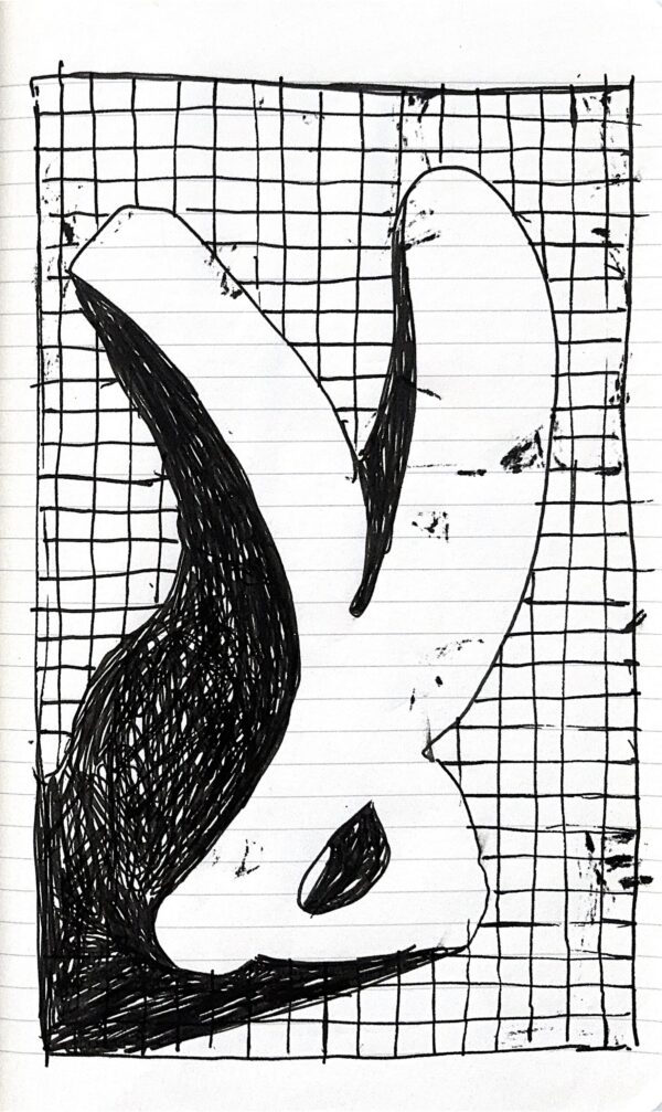  - Image 3 of 7