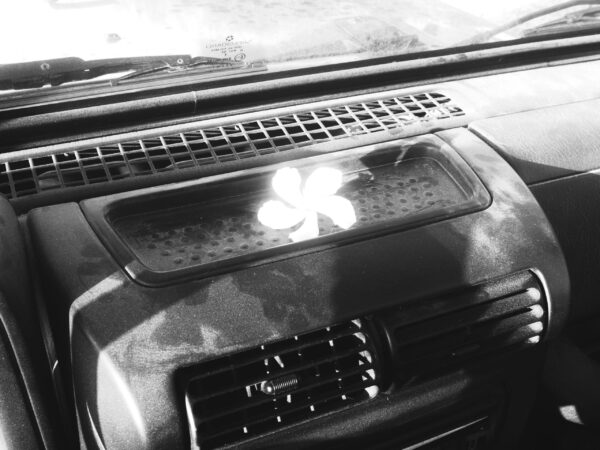  - Image 5 of 7