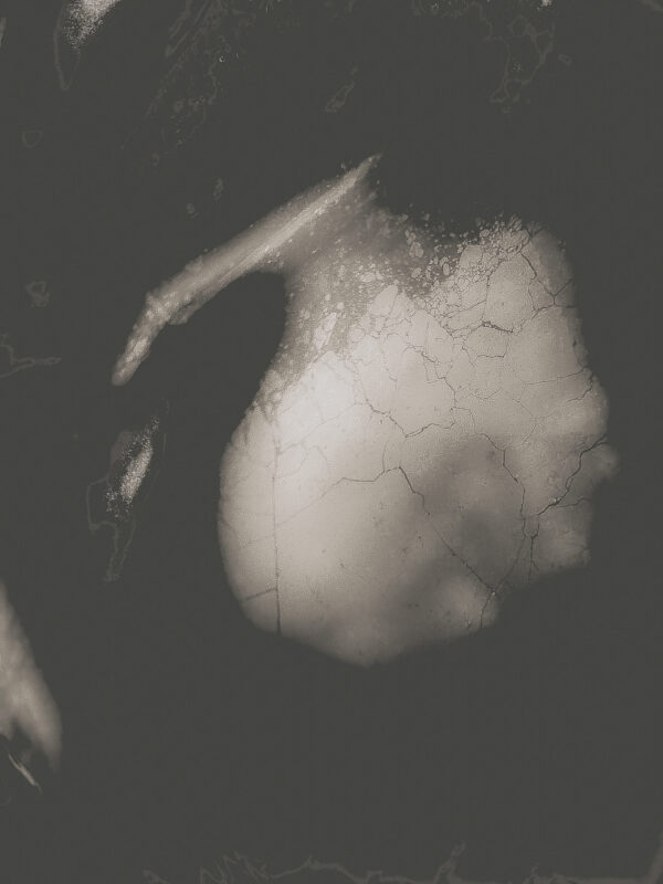  - Image 5 of 8