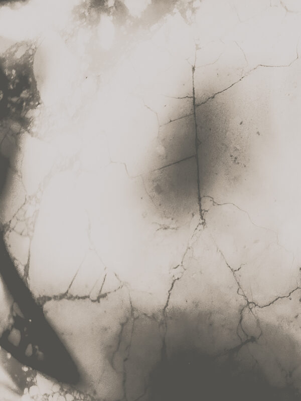  - Image 8 of 8