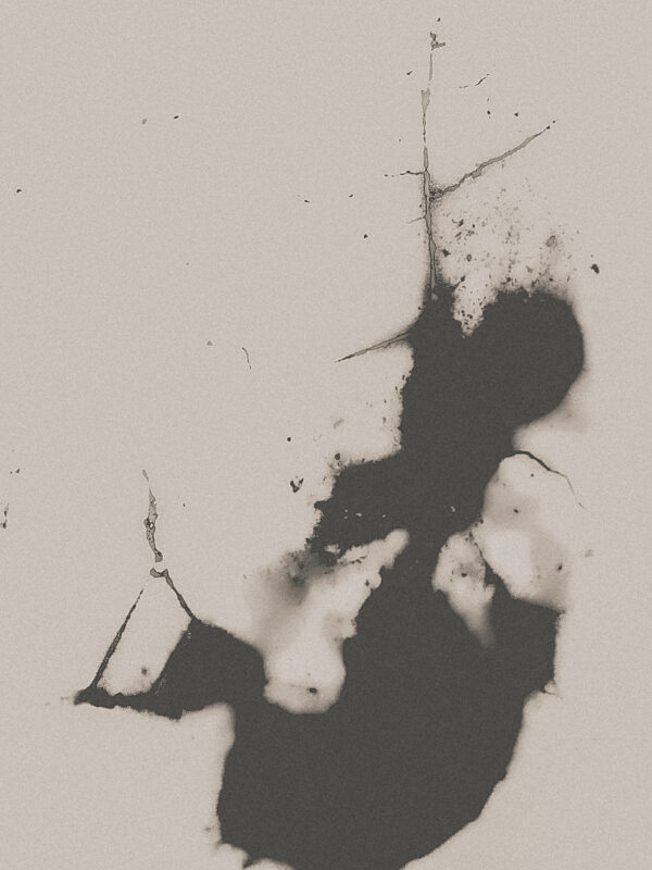  - Image 3 of 8