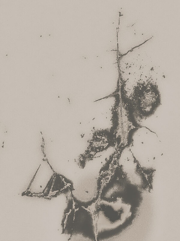  - Image 2 of 8