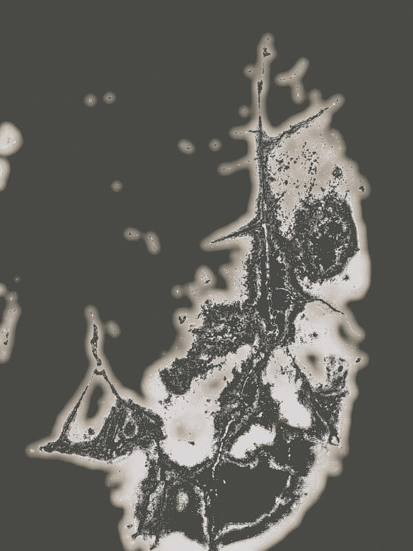  - Image 4 of 8