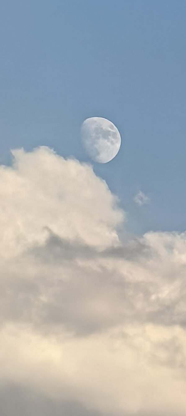  - Image 4 of 8