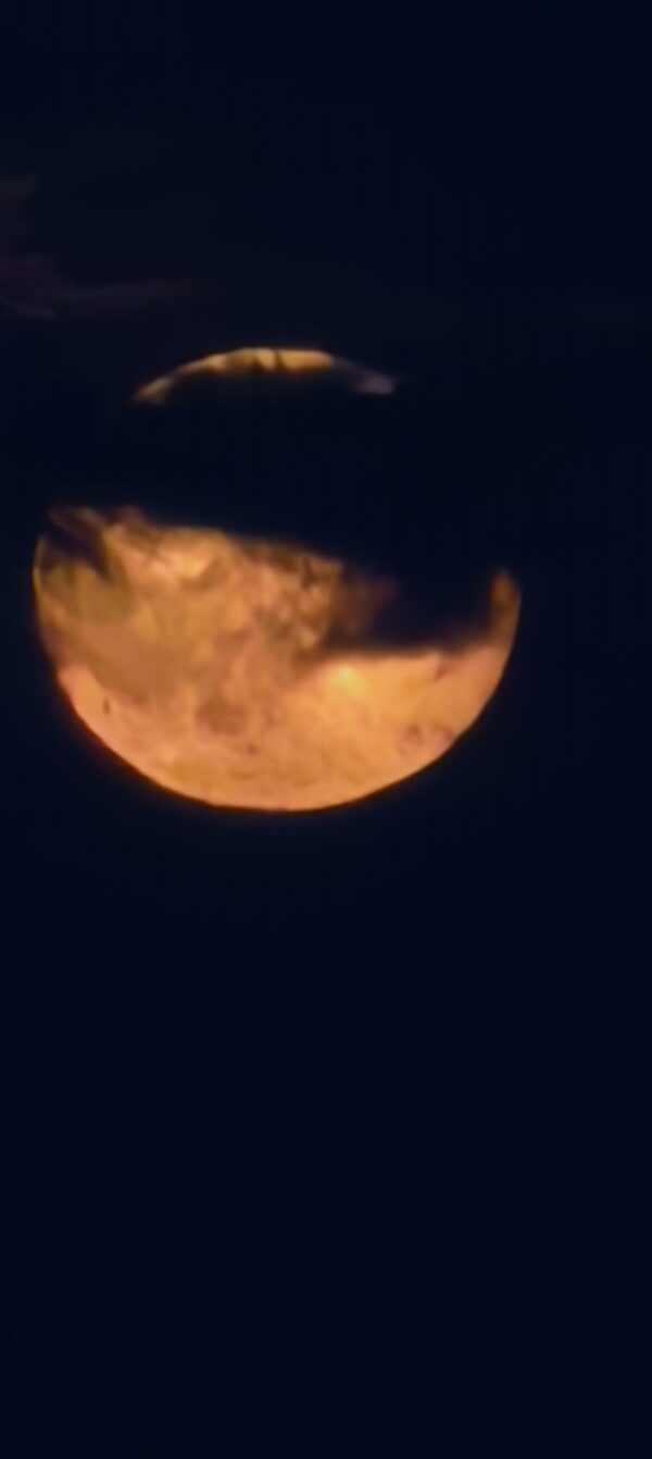  - Image 8 of 8