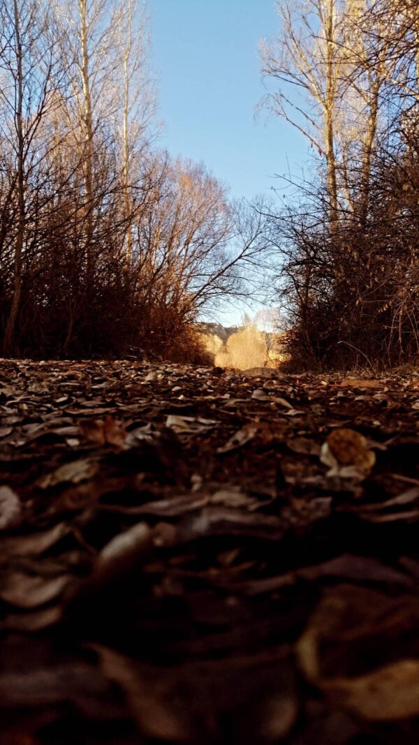  - Image 7 of 8