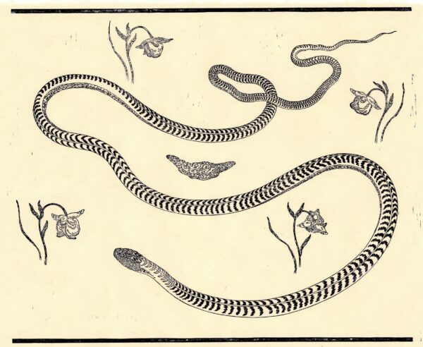  - Image 2 of 7